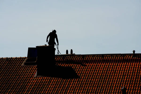 Professional Chimney Specialists